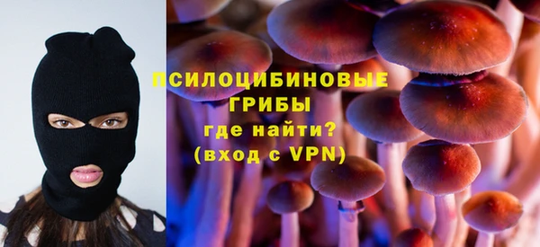 mdpv Арсеньев