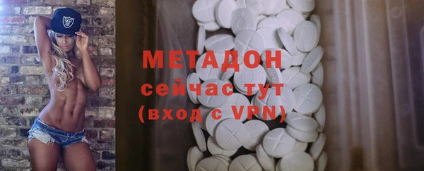 индика Аркадак