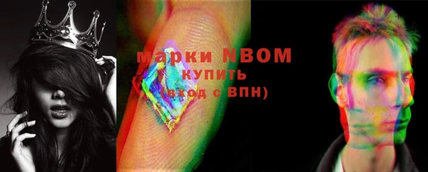 индика Аркадак