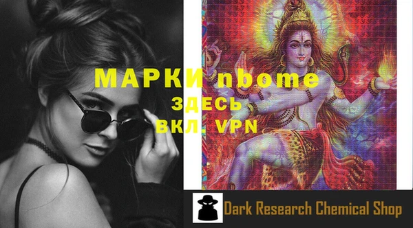 индика Аркадак