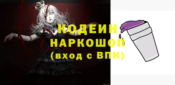 индика Аркадак