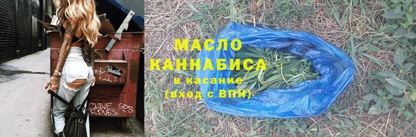 индика Аркадак