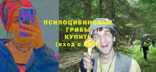 mdpv Арсеньев