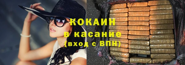 индика Аркадак