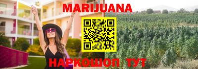 не бодяженный Сланцы