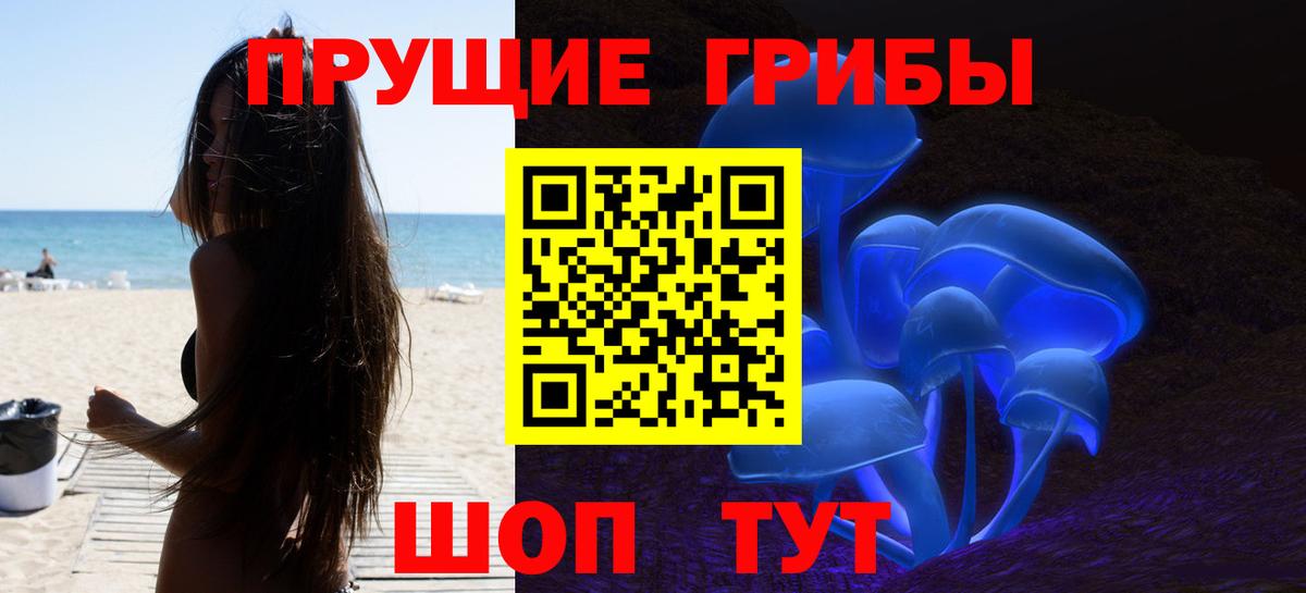Псилоцибиновые грибы Psilocybe  Вход с VPN  Сатка  Галлюциногенные грибы мицелий 
